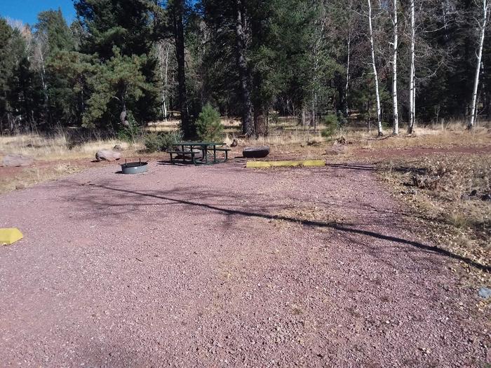 Site 121 with a picnic table, parking space, and a campfire ring.