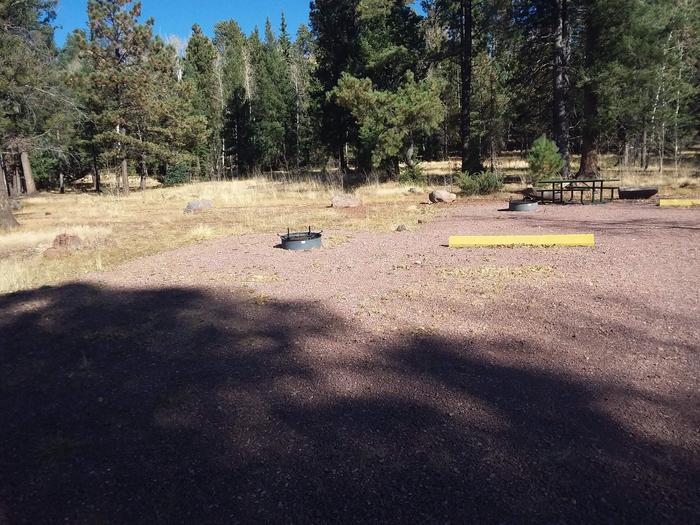 Site 122 with a picnic table, campfire ring, and a parking space.