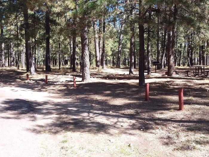 Loop B Site 85 with picnic table, grill and fire ring