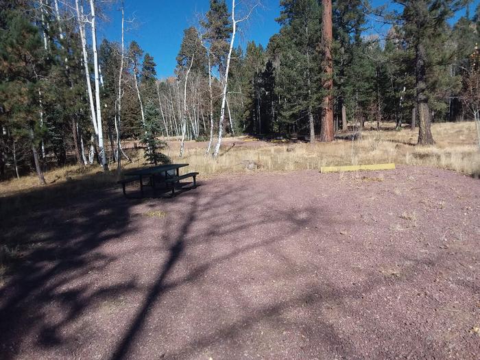 Site 123 with a picnic table, campfire ring, and a parking space.