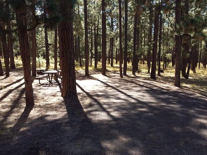 Loop B Site 86 with picnic table and fire ring