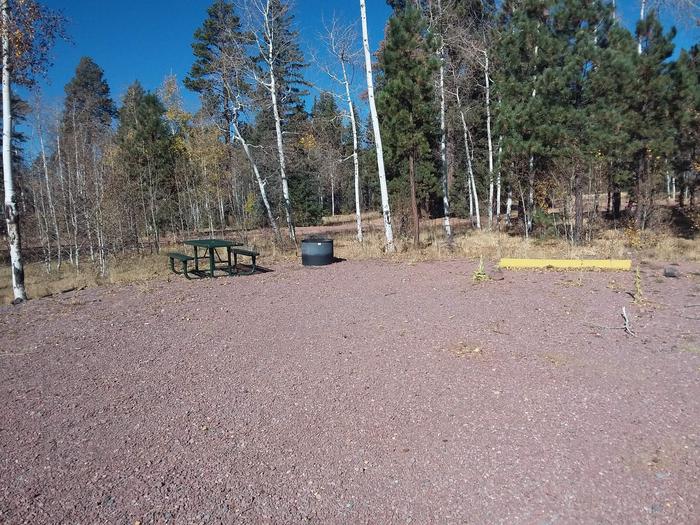 Site 124 with a picnic table, a campfire ring, and a parking space.