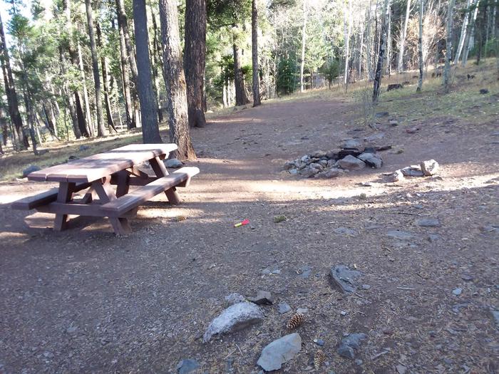 Cutthroat Campground Site 012: picnic table and fire pit Cutthroat Campground Site 012