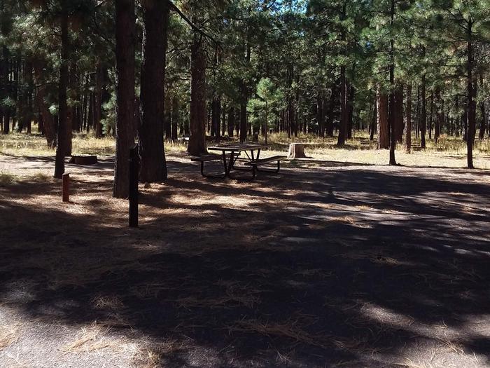 Loop B Site 88 with picnic table and fire ring