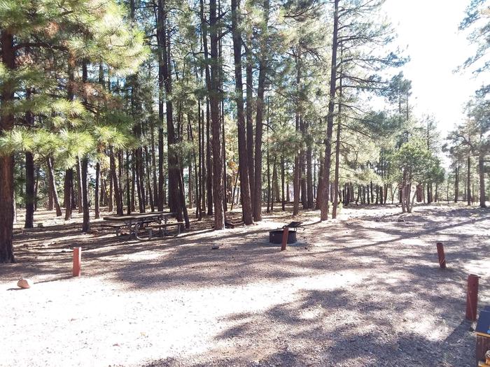 Site 1 with a picnic table, fire ring, and available parking space.