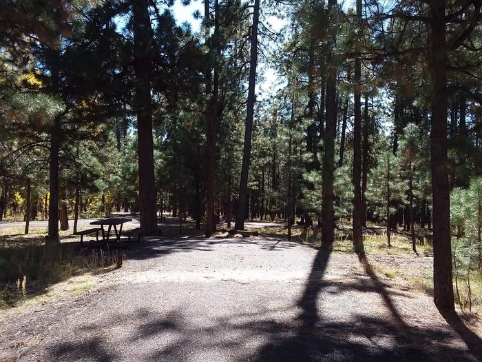 Loop B Site 96 with shaded picnic table