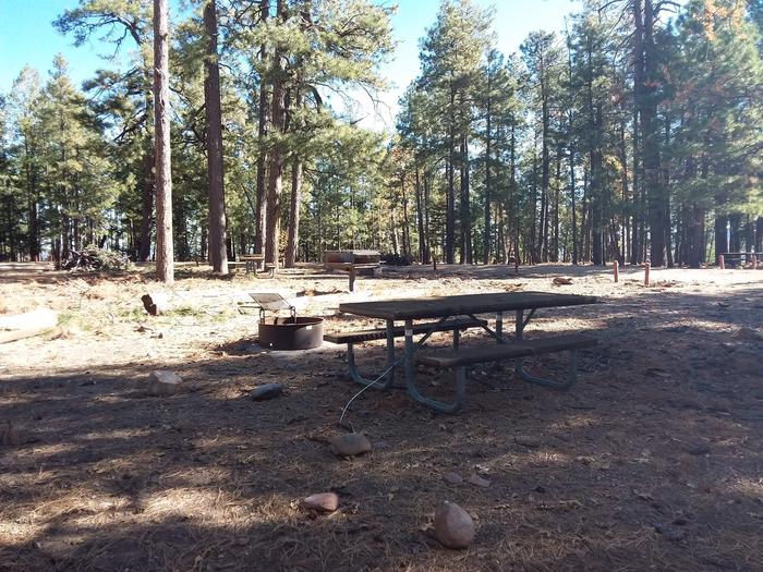 Site 6 with a picnic table, a campfire ring, and camp grill.