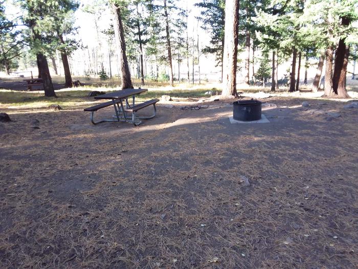 Cutthroat Campground Site 015: picnic table and fire pit Cutthroat Campground Site 015