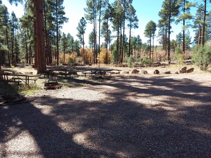 Site 3 with picnic tables, a fire ring, and parking area.
