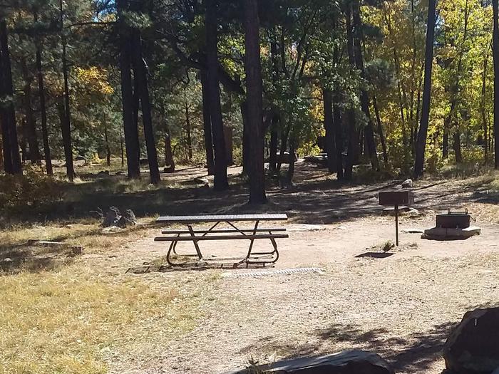 Site 46 with bench, campfire ring, and grill before trees.Campsite 46 includes a picnic bench, grill, and fire ring.
