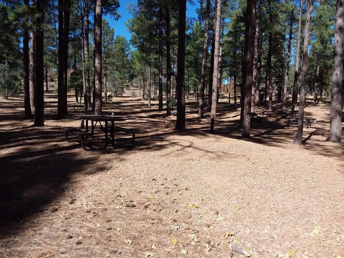 Site 7 with a picnic table and parking area.
