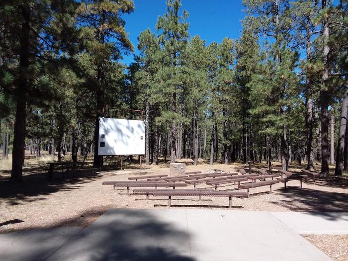 CANYON POINT Amphitheater multi-media projection screen, fire ring, and benches situated in a pine forestCanyon Point Amphitheater