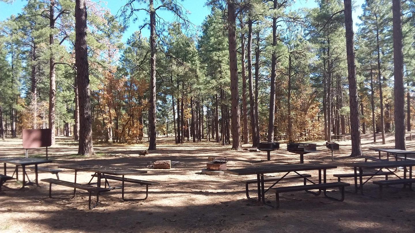 Group picnic area.