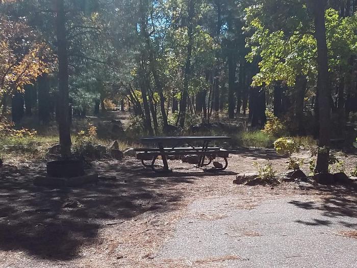 site 51 with a bench and fire ring behind asphalt parking area.Campsite 51 has a bench, fire ring, and grill.
