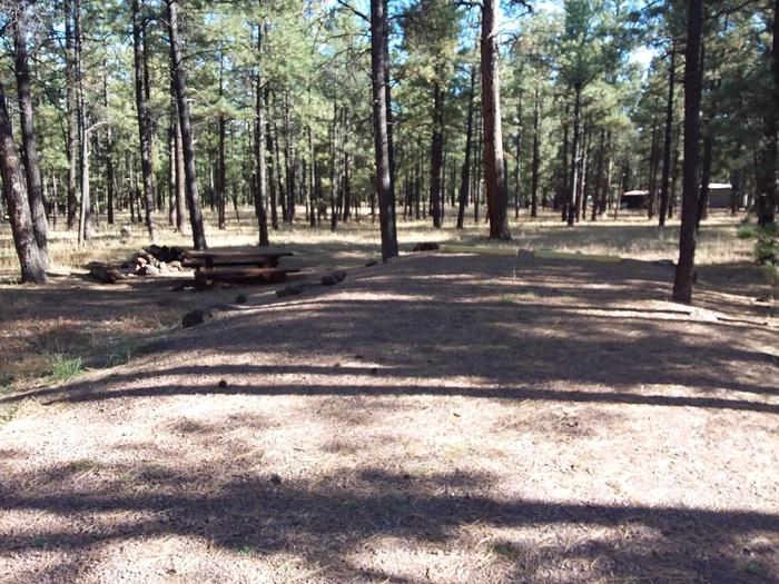 Turkey Loop Site 2 partially shaded with picnic table