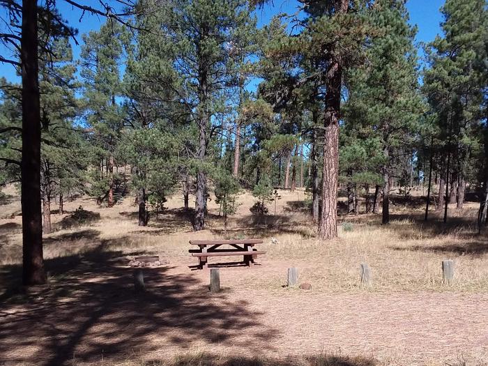 Site 4 with parking, a fire ring, and picnic table.