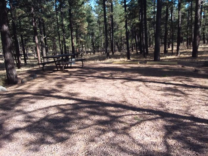 Turkey Loop Site 3 partially shaded with picnic table and fire ring