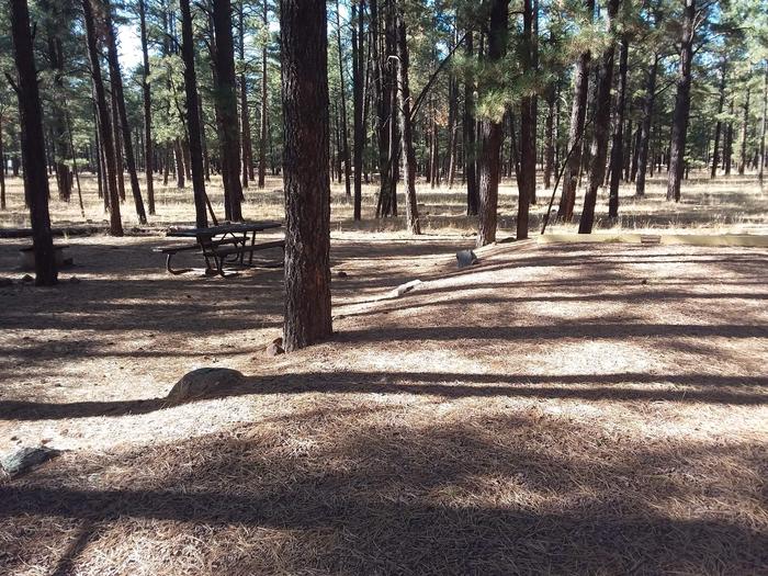 Turkey Loop Site 7 partially shaded with picnic table and fire ring