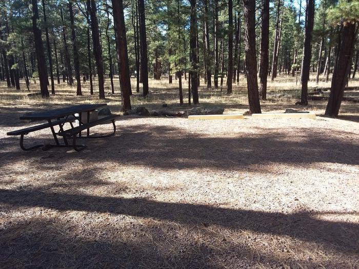 Turkey Loop Site 8 partially shaded with picnic table and fire ring