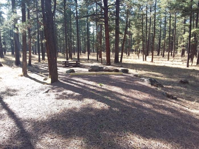 Turkey Loop Site 9 partially shaded with picnic table