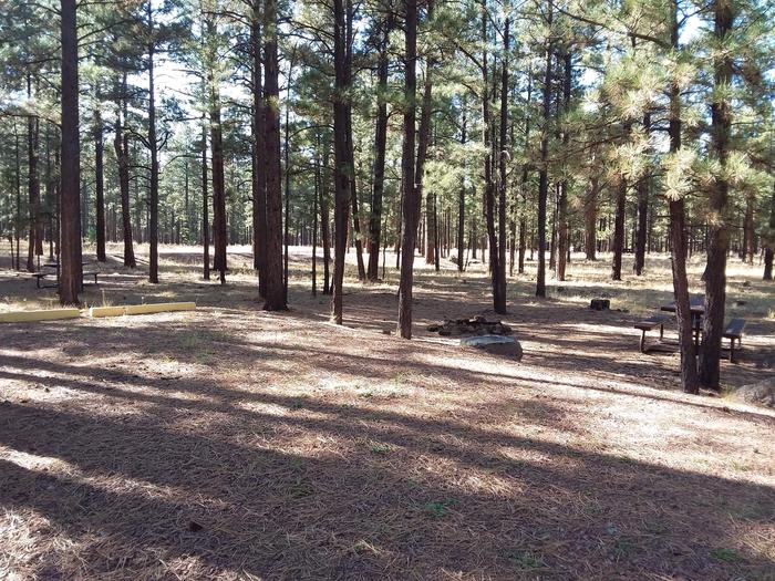 Grouse Loop Site 12 partially shaded with picnic table and fire pit