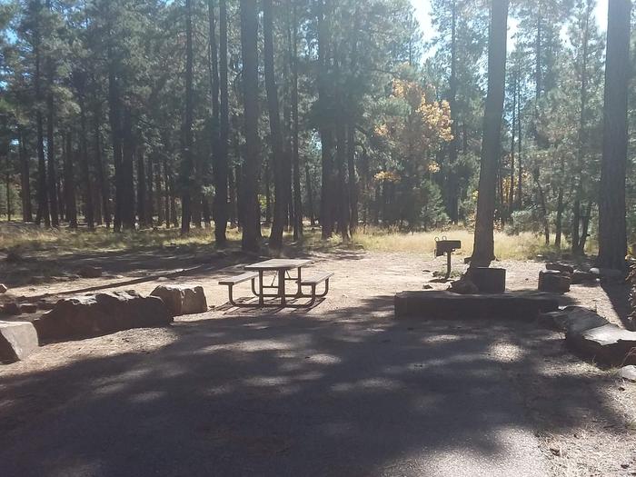Site 59 with rock barriers in front of a table, grill, and tree line.Campsite 59 has a parking area, table, grill, and fire ring.