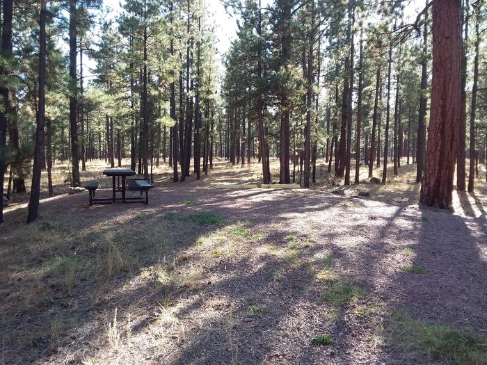 Grouse Loop Site 20 partially shaded with picnic table and fire ring