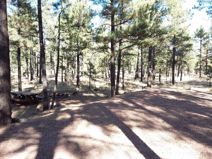 Grouse Loop Site 21 partially shaded with picnic table and fire pit