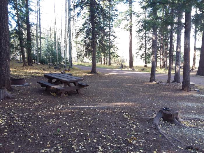 Grayling Campground Site 3: shows picnic table, open fire pit, and road accessGrayling Campground Site 3
