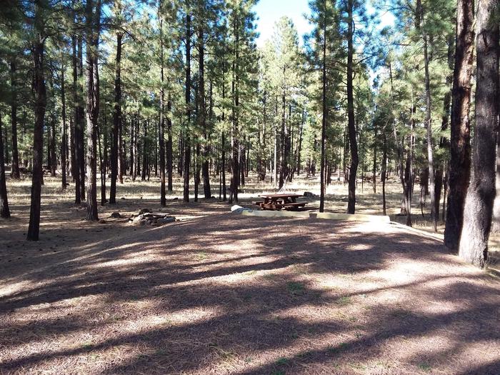Grouse Loop Site 28 partially shaded with picnic table and fire pit