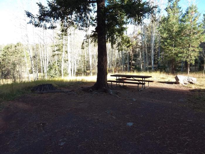 Grayling Campground Site 5: shows picnic table, open fire pit (behind table)Grayling Campground Site 5