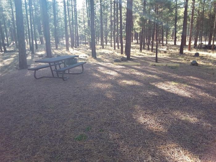 Grouse Loop Site 29 partially shaded with picnic table and fire ring