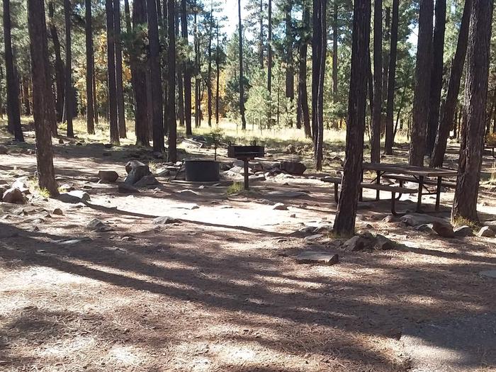 Site 64 with tree filled and rocky area with a bench, grill, and campfire.Campsite 64 has terrain to go with its grill, picnic table, and fire ring.