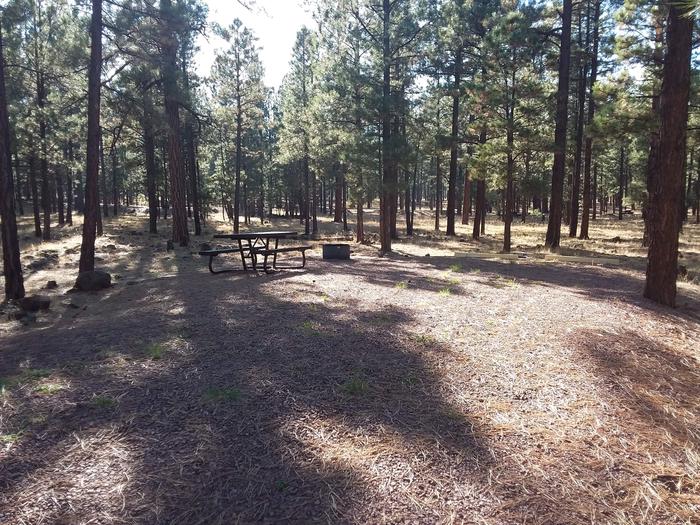 Grouse Loop Site 31 partially shaded with picnic table and fire ring