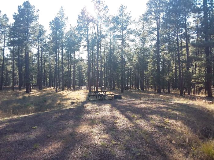 Grouse Loop Site 35 partially shaded with picnic table and fire ring