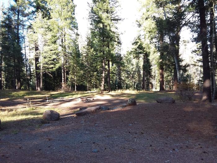 Grayling Campground Campsite 9: shows picnic table and fire pitGrayling Campground Campsite 9