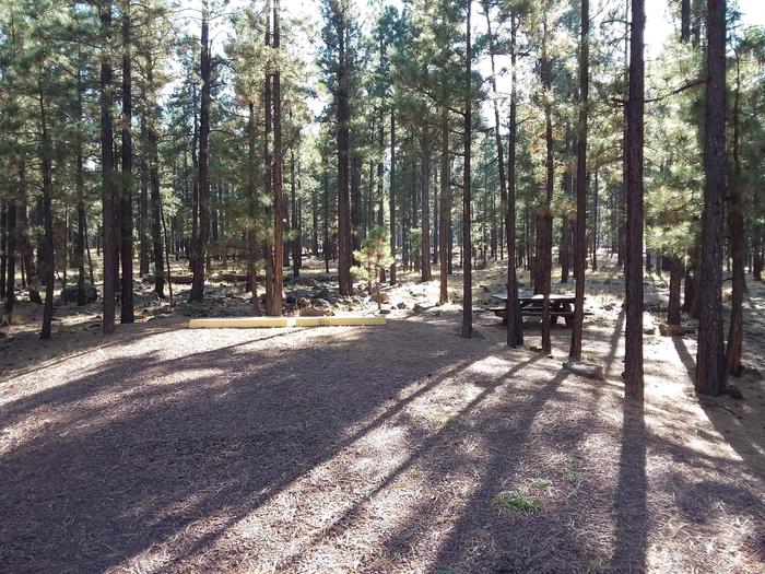 Beaver Loop Site 44 partially shaded with picnic table and fire pit