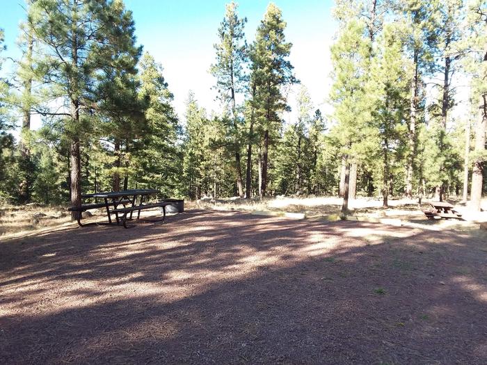 Beaver Loop Site 47 partially shaded with picnic table and campfire ring