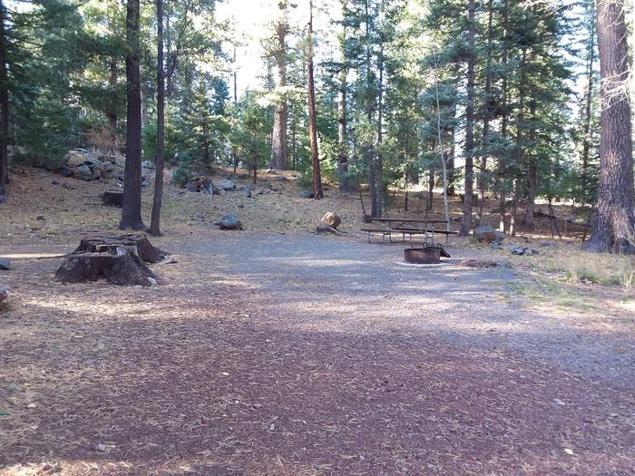 Grayling Campground Campsite 12: shows picnic table and fire pit Grayling Campground Campsite 12