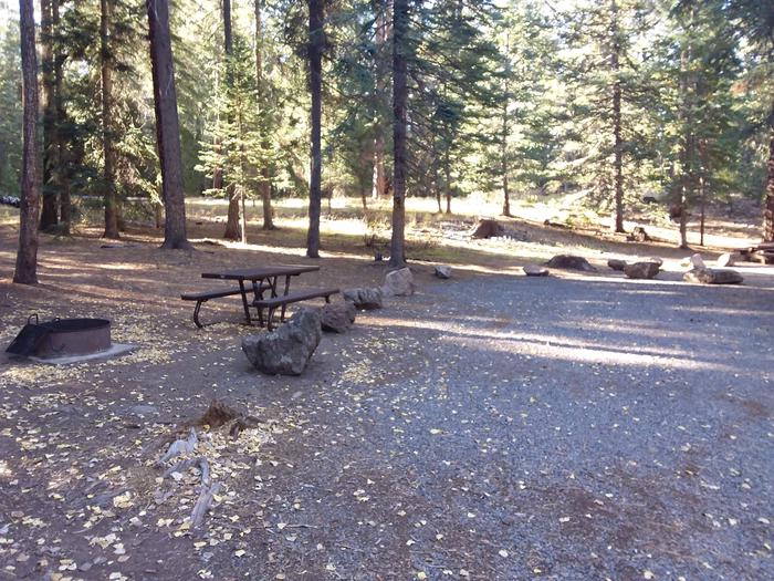 Grayling Campground Campsite 15: shows table and fire pitGrayling Campground Campsite 15