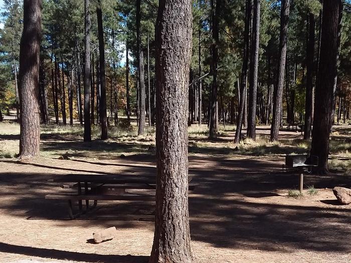 Site 71 with a center tree, and behind is a shaded area with table, and grill.Campsite 71 With its grill and table.