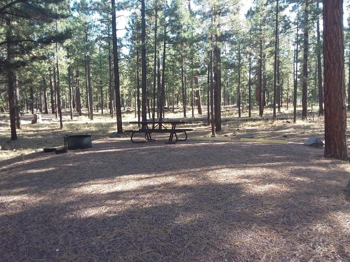 Wildcat Loop Site 68 partially shaded with picnic table and campfire ring