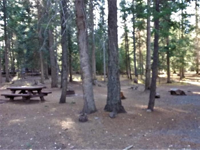 Grayling Campground Campsite 17: shows table and fire pitGrayling Campground Campsite 17