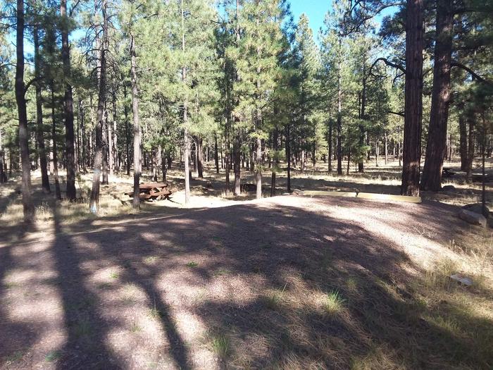 Wildcat Loop Site 70 partially shaded with picnic table and campfire ring