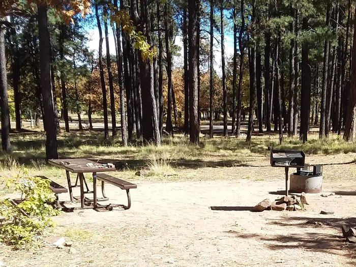 Site 73 in a clearing with a table, grill, and fire ring.Campsite 73