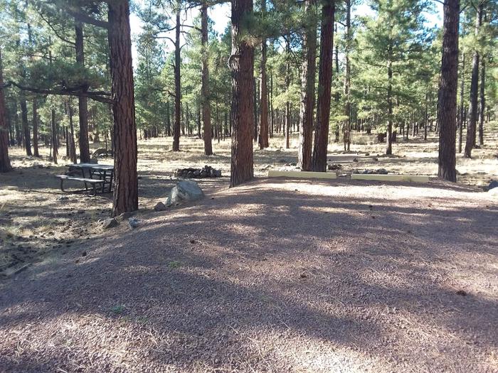 Bear Loop Site 76 partially shaded with picnic table and campfire pit