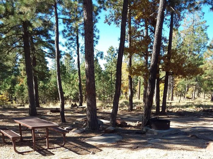Site 16 with a picnic table, campfire ring, and parking.