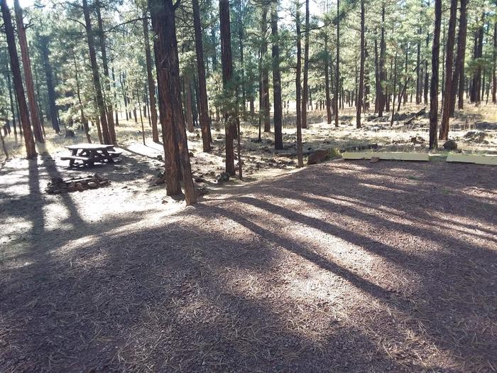 Bear Loop Site 78 partially shaded with picnic table and campfire pit