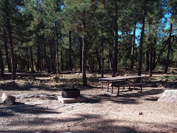 Site 17 with a picnic table, campfire ring, and parking.
