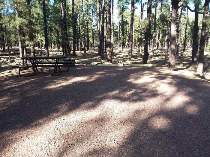 Bear Loop Site 79 partially shaded with picnic table and campfire ring